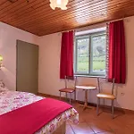 Fun & Games Homestead Lukec - Happy Kostel